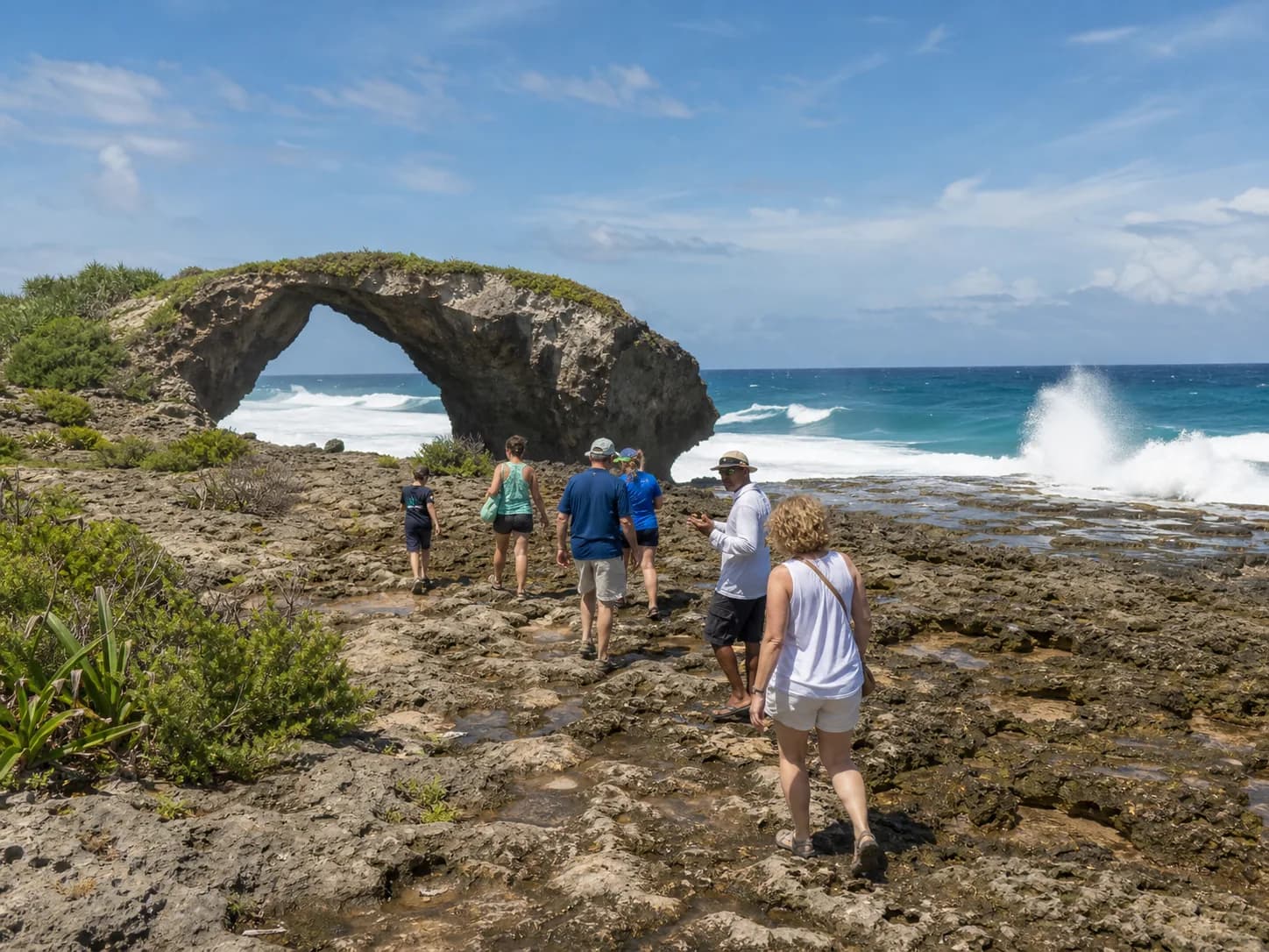 Illustrative image of Island Tour