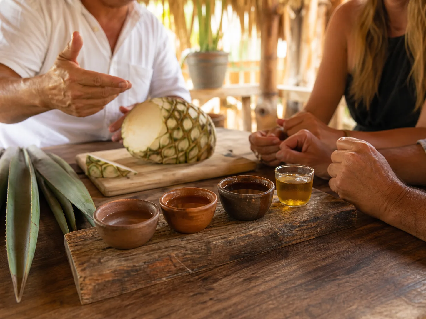 Illustrative image of Free Tequila Tasting